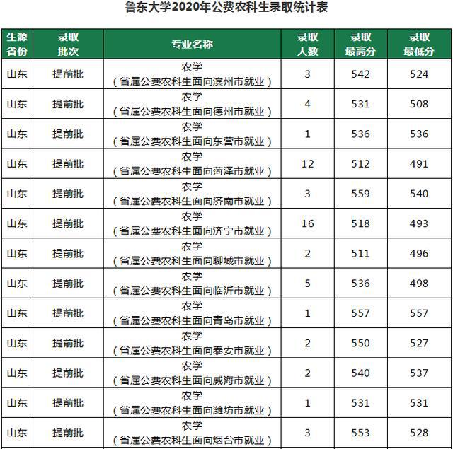 鲁东大学专科分数线(鲁东大学专科分数线是多少)